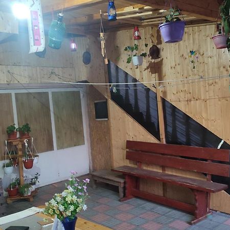 Casa Victor Apartment Eforie Nord Ngoại thất bức ảnh