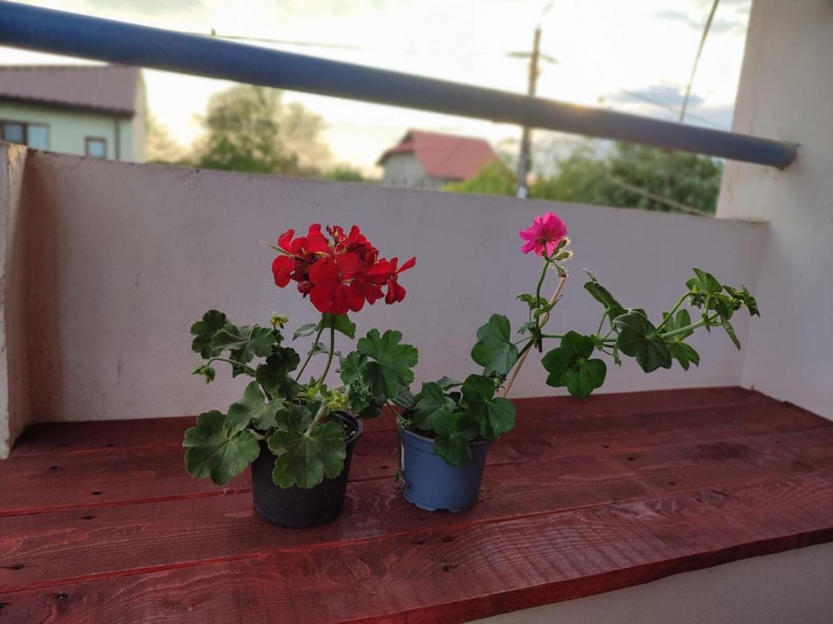 Casa Victor Apartment Eforie Nord Ngoại thất bức ảnh