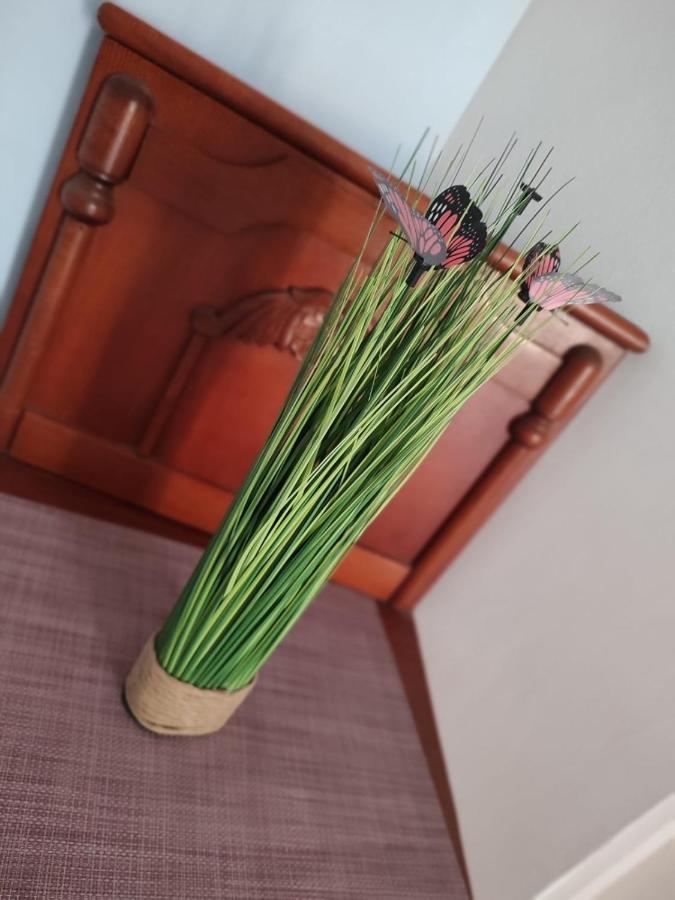 Casa Victor Apartment Eforie Nord Ngoại thất bức ảnh